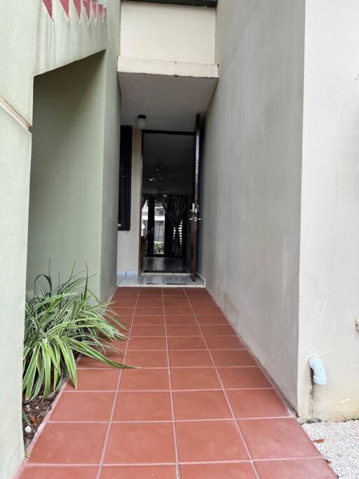 ריו גראנדה Entire Beach Apartment With View To El Yunque National Rain Forest מראה חיצוני תמונה